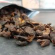 cascara